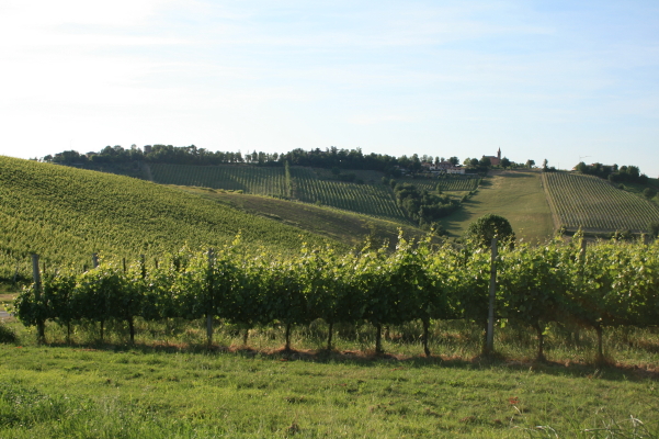 f0077159_554450.jpg