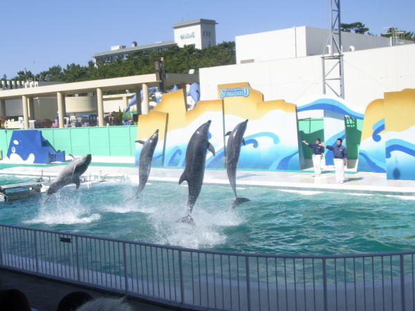 e0153367_12381186.jpg