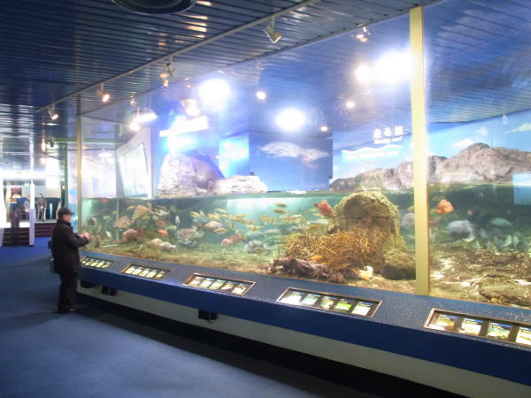 e0153367_128389.jpg