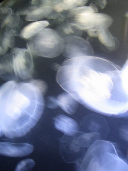 e0153367_129187.jpg