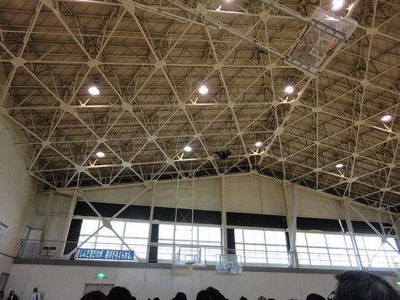 a0038370_22295526.jpg