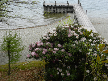 c0052470_14291220.jpg