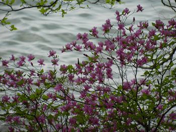 c0052470_14292624.jpg