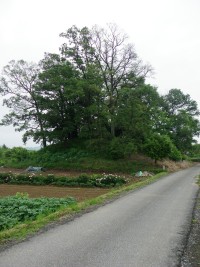 b0004675_1793442.jpg