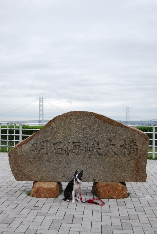 c0092787_1353435.jpg
