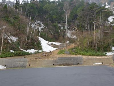 c0123890_20415125.jpg