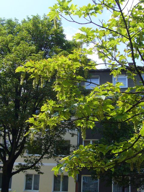 f0169397_2202488.jpg