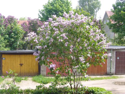 f0169397_2213077.jpg
