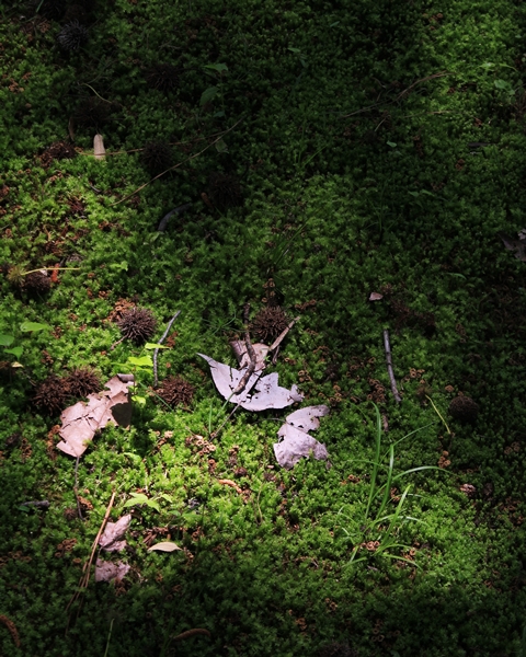 c0228404_5345125.jpg