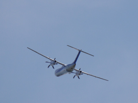 b0021505_2314276.jpg