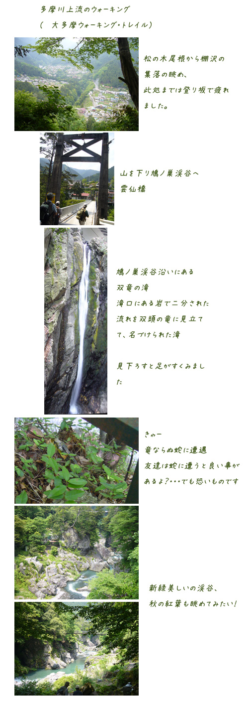 c0051105_2134475.jpg