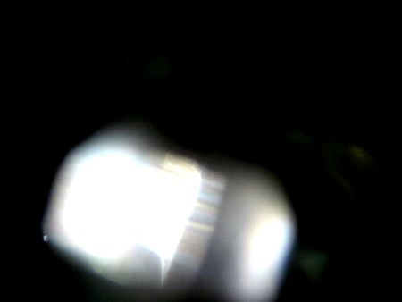e0103408_2592799.jpg