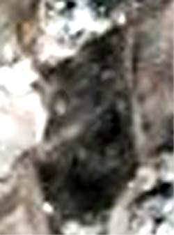 e0103408_6344875.jpg