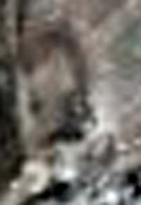 e0103408_6345772.jpg
