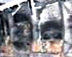 e0103408_635398.jpg