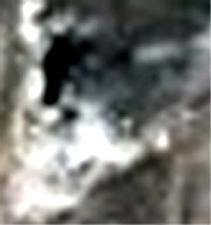 e0103408_635592.jpg