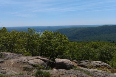 a0172410_862692.jpg