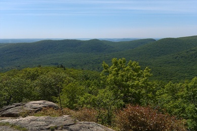 a0172410_865540.jpg