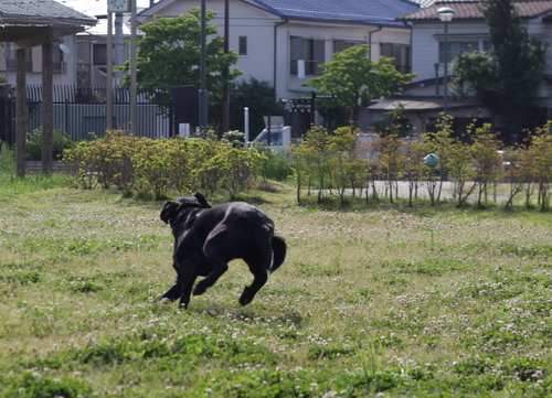 c0101713_22104261.jpg