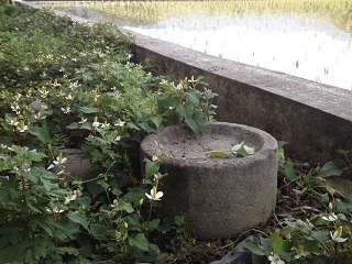c0146714_1131169.jpg