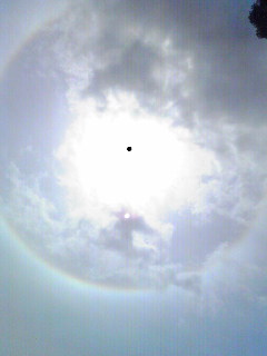 e0130722_23101723.jpg