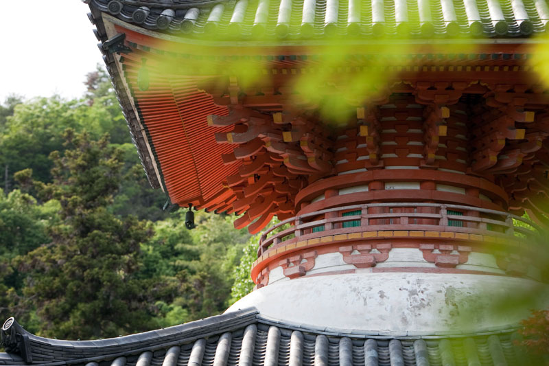 c0064025_235962.jpg