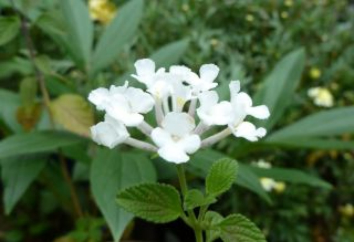e0033229_2059987.jpg