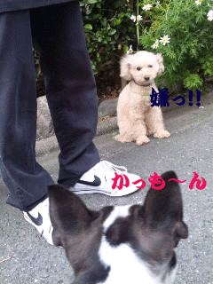 c0209932_2227179.gif
