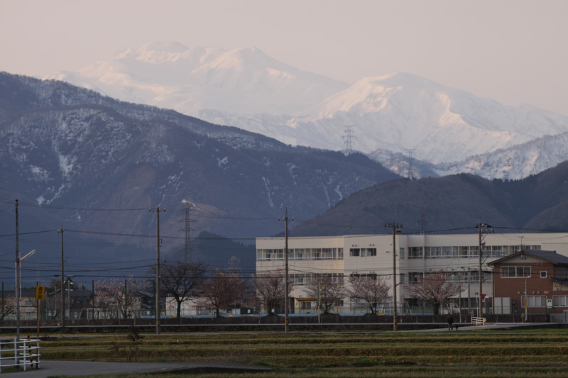 b0177233_520045.jpg