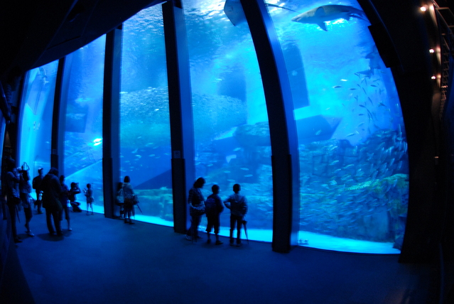 e0139234_8193129.jpg