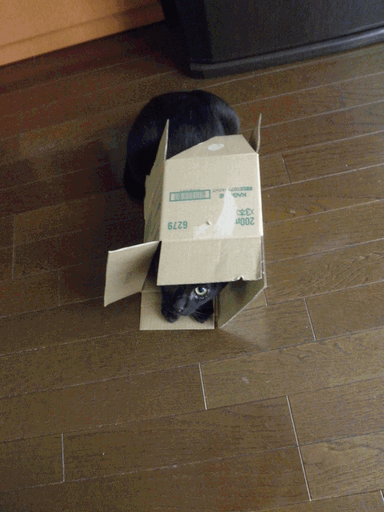 c0136736_19573158.gif