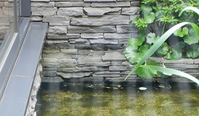 d0164636_9482580.jpg
