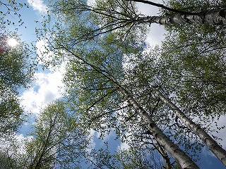 b0196837_12531817.jpg