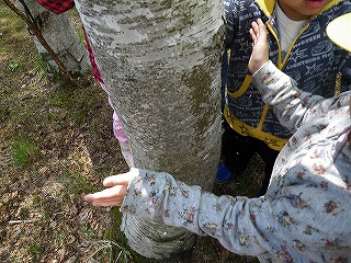 b0196837_12534454.jpg