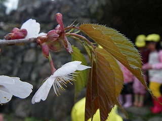b0196837_1331913.jpg