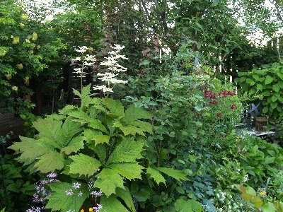 c0195439_0212455.jpg