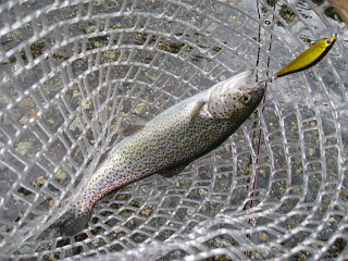 f0065341_10444664.jpg