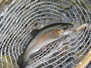 f0065341_104491.jpg