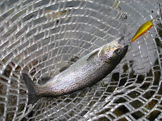f0065341_1045543.jpg