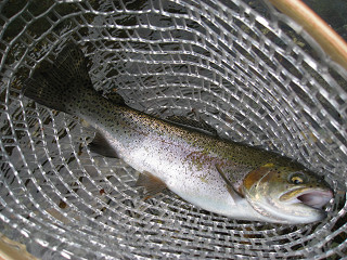 f0065341_10473384.jpg