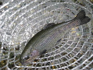 f0065341_10525780.jpg