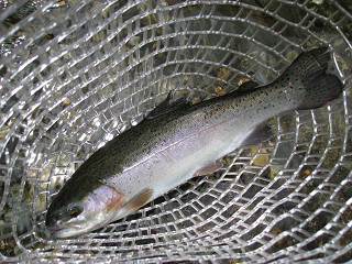 f0065341_10584356.jpg