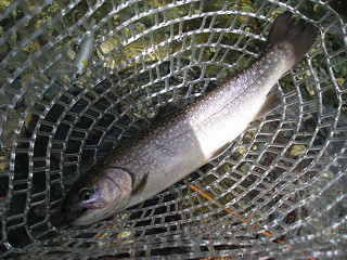 f0065341_10591891.jpg