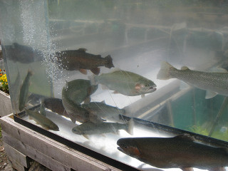 f0065341_1830179.jpg