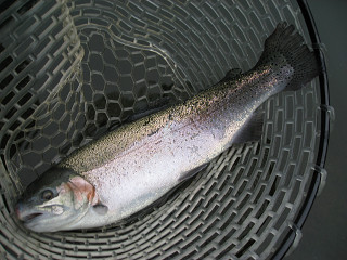 f0065341_18325217.jpg