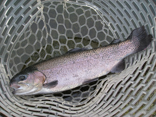 f0065341_1833564.jpg
