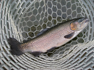 f0065341_18341525.jpg