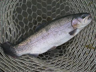 f0065341_18391983.jpg