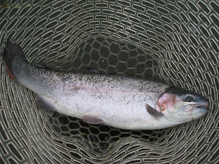 f0065341_18402594.jpg
