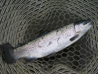 f0065341_1840525.jpg